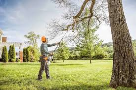 Best Tree Preservation Services  in USA